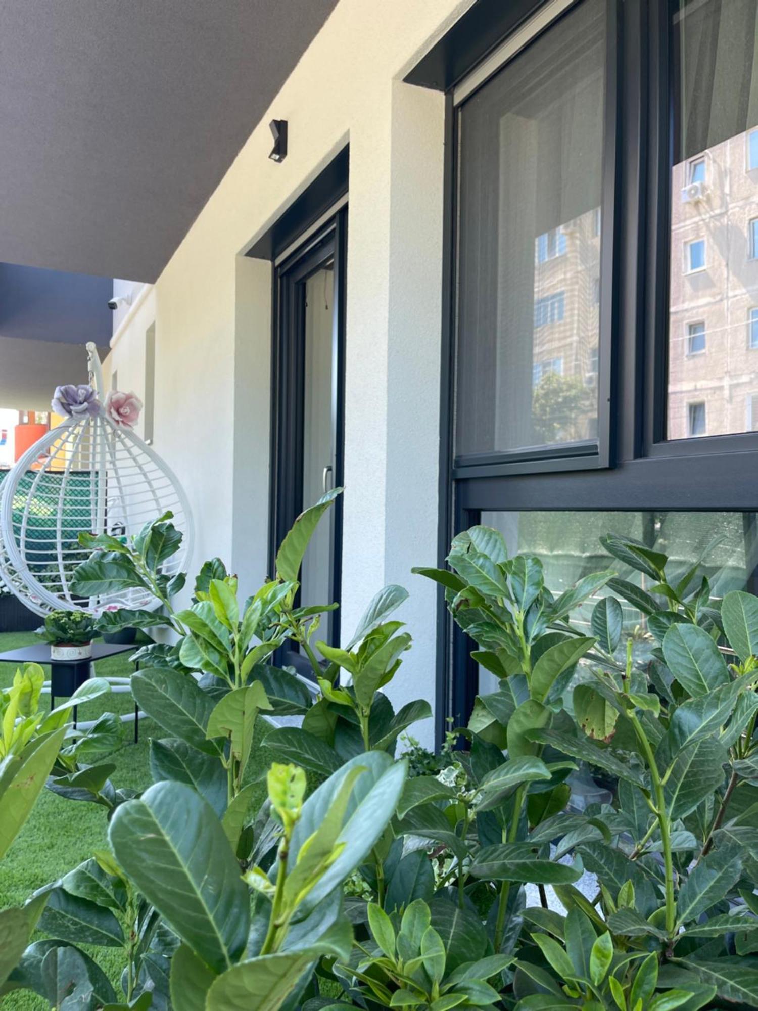 Am Apartments تيميشورا المظهر الخارجي الصورة